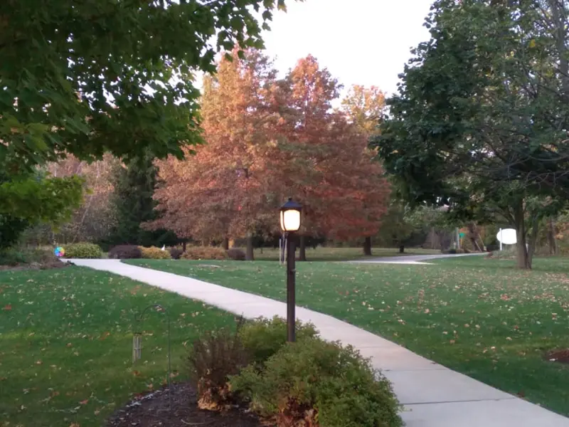 Fall