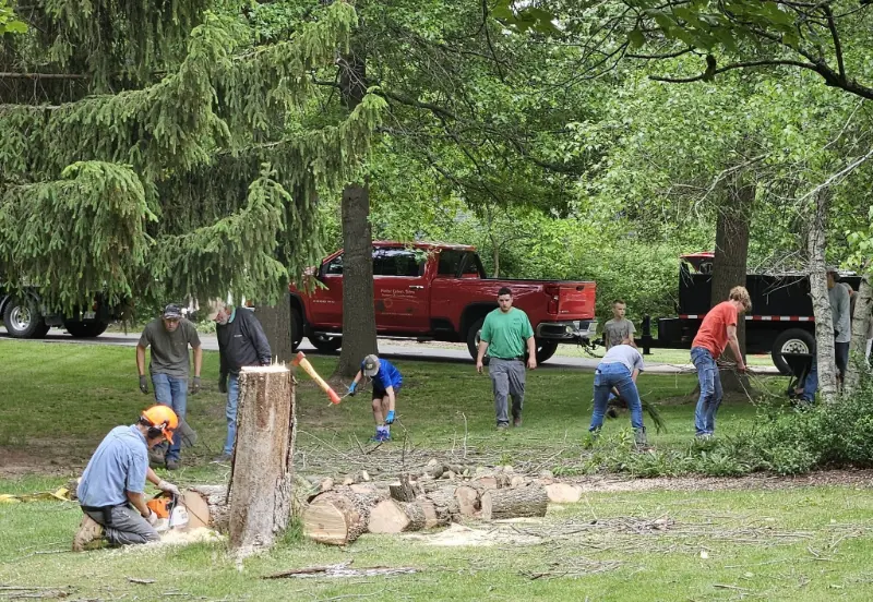 Spring clean up